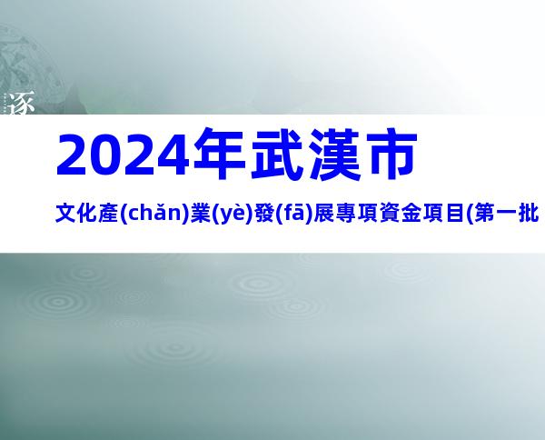 2024年武漢市文化產(chǎn)業(yè)發(fā)展專項資金項目(第一批)申報條件、時間